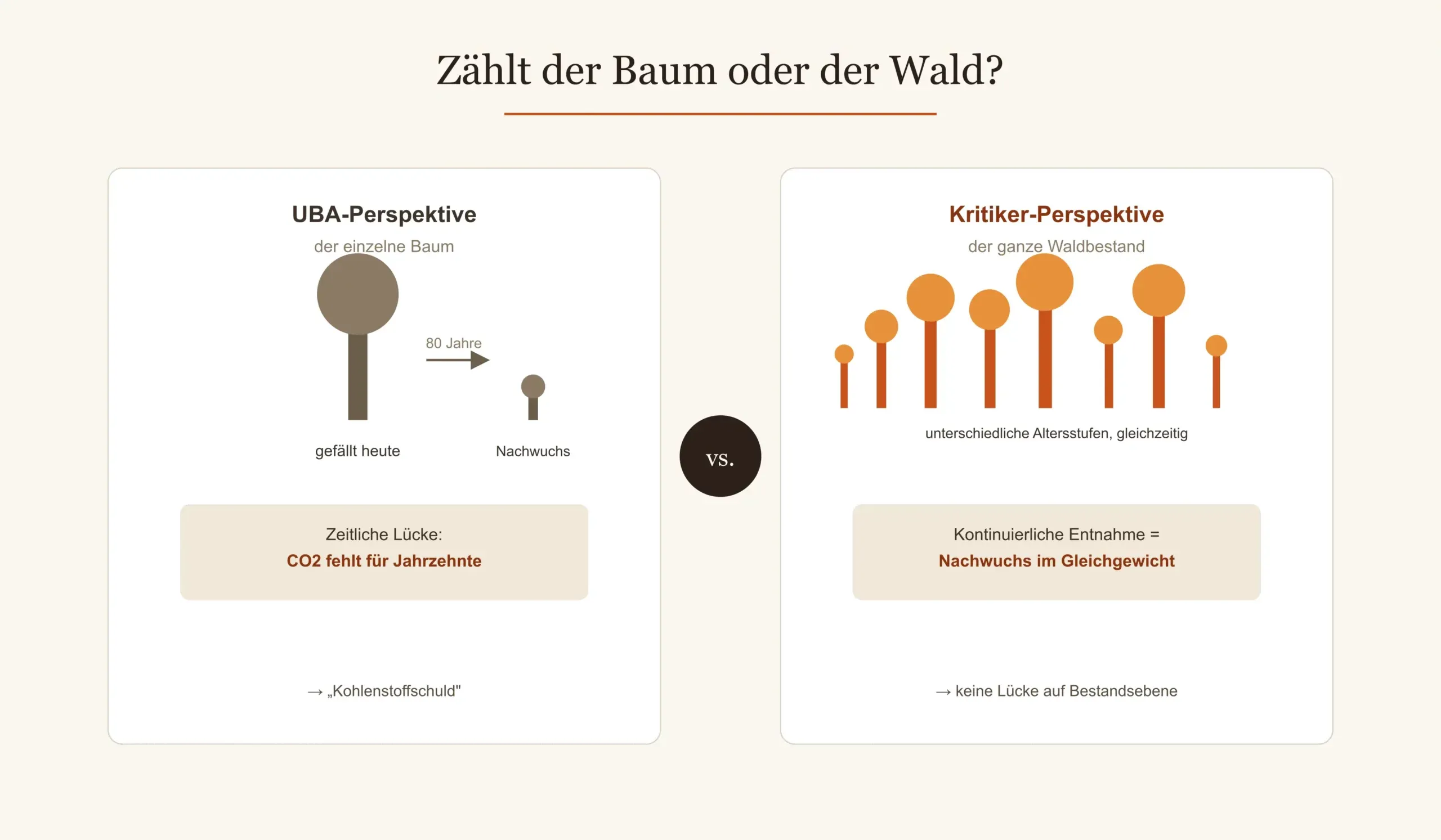 Klimabilanz von Holz: Einzelbaum-Betrachtung versus nachhaltige Waldwirtschaft